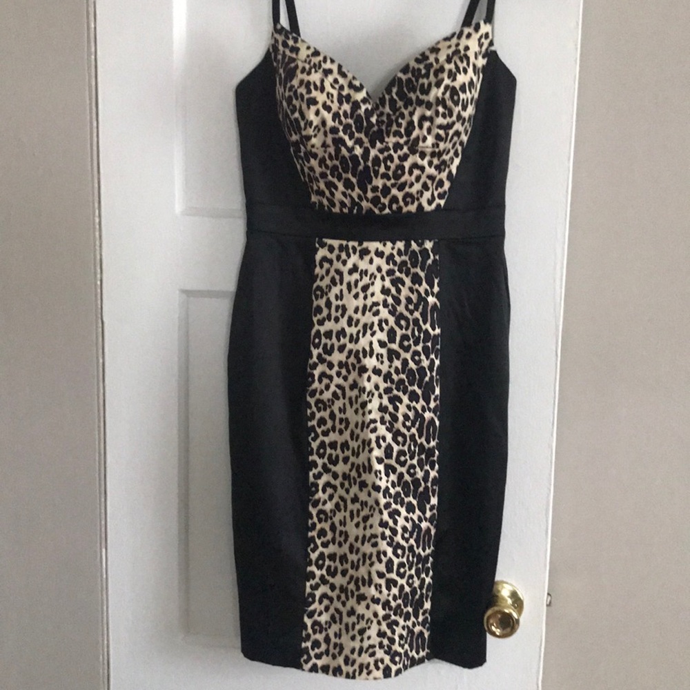 Leopard Print Black Dress